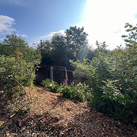 Tolles Ferienhaus Frohnatur Mit Sauna In Ruhiger Lage Plauen Dış mekan fotoğraf
