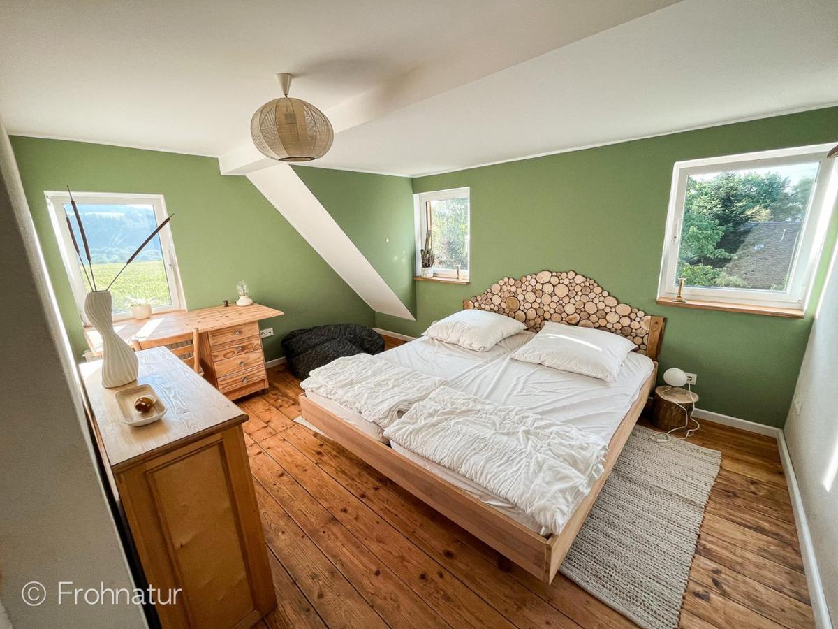 Tolles Ferienhaus Frohnatur Mit Sauna In Ruhiger Lage Plauen Dış mekan fotoğraf